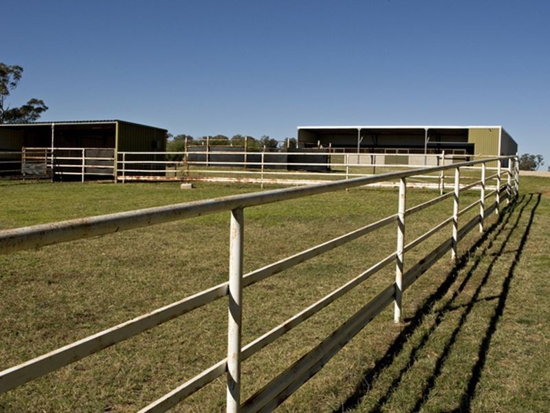 1425 Milvale Rd, Young NSW 2594
