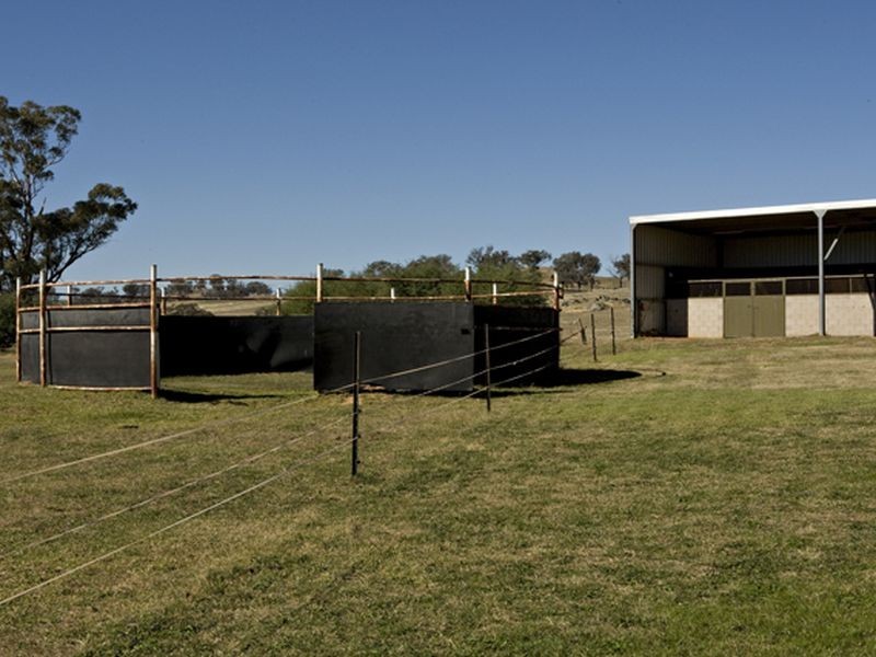 1425 Milvale Rd, Young NSW 2594