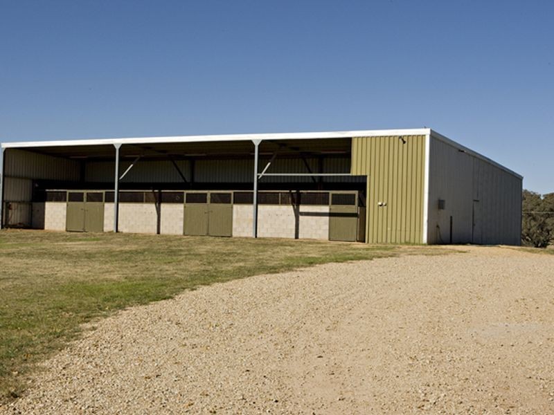 1425 Milvale Rd, Young NSW 2594