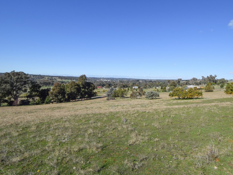 50 Belmore Road, Young NSW 2594