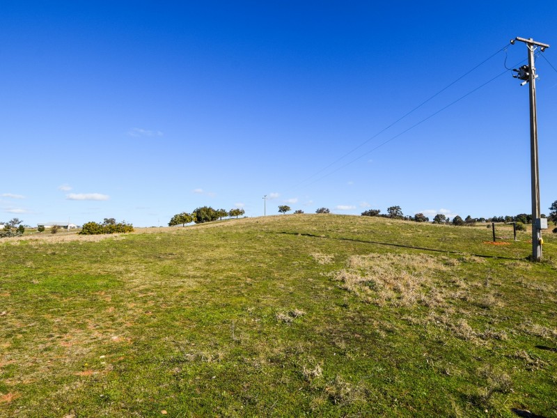 50 Belmore Road, Young NSW 2594