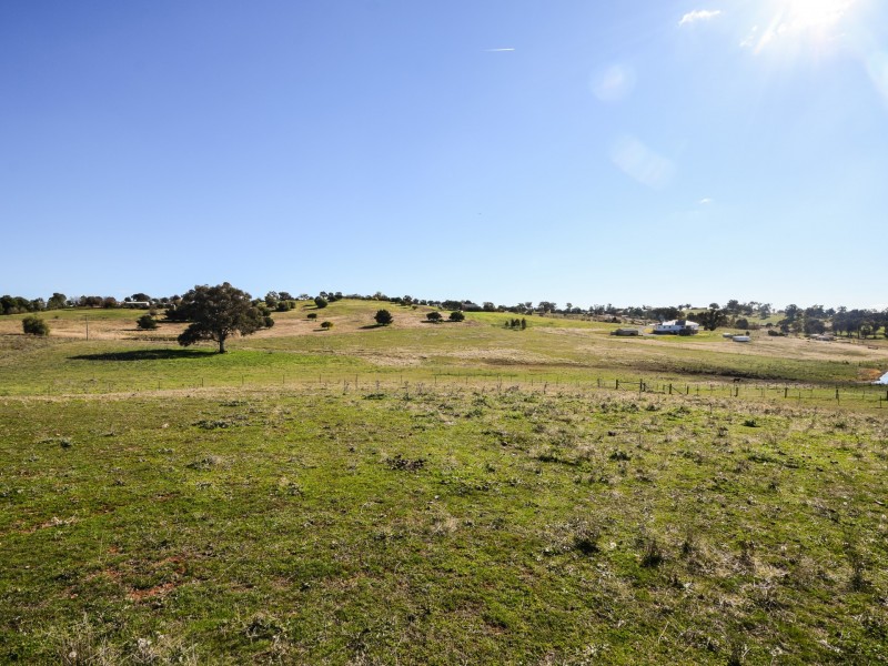 50 Belmore Road, Young NSW 2594