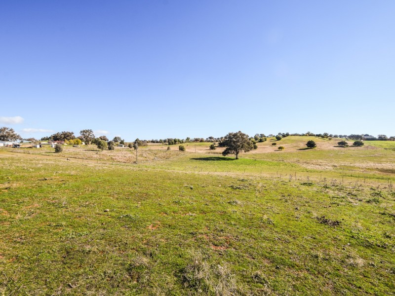 50 Belmore Road, Young NSW 2594