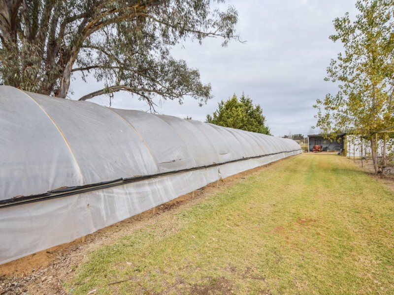 38 Chums Lane, Young NSW 2594