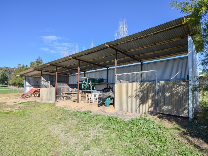 38 Chums Lane, Young NSW 2594