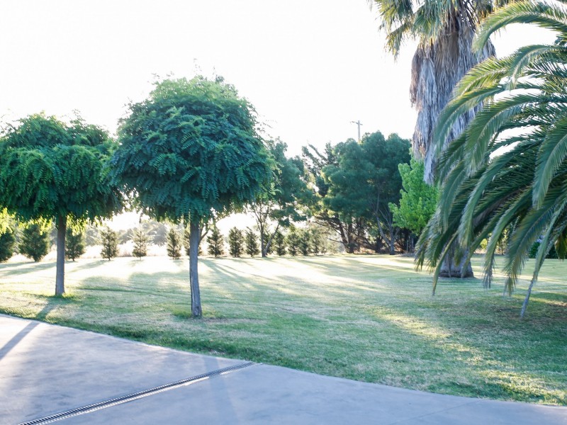 89 Thornell Road, Young NSW 2594