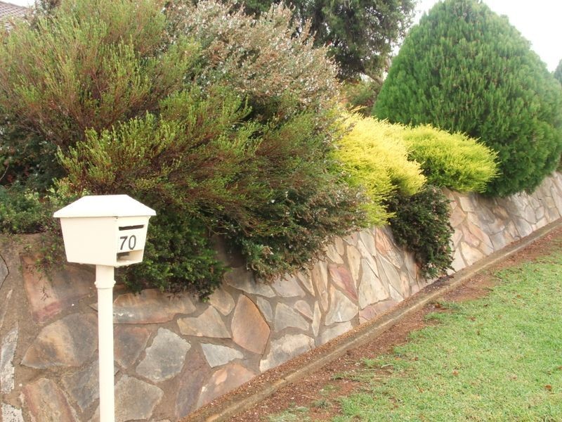 70 Fontenoy Street, Young NSW 2594