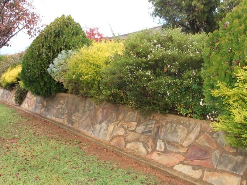 70 Fontenoy Street, Young NSW 2594