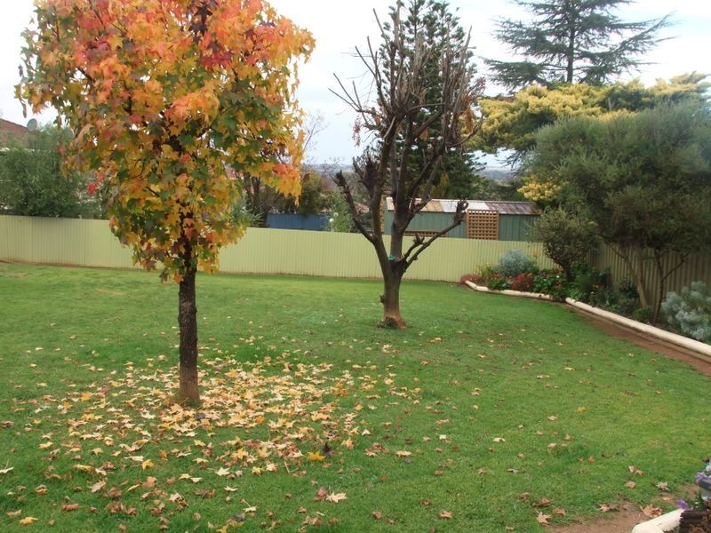 70 Fontenoy Street, Young NSW 2594