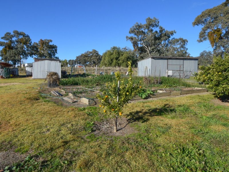 72 Lachlan Street, Young NSW 2594