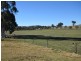 574 Henry Lawson Way, Young NSW 2594