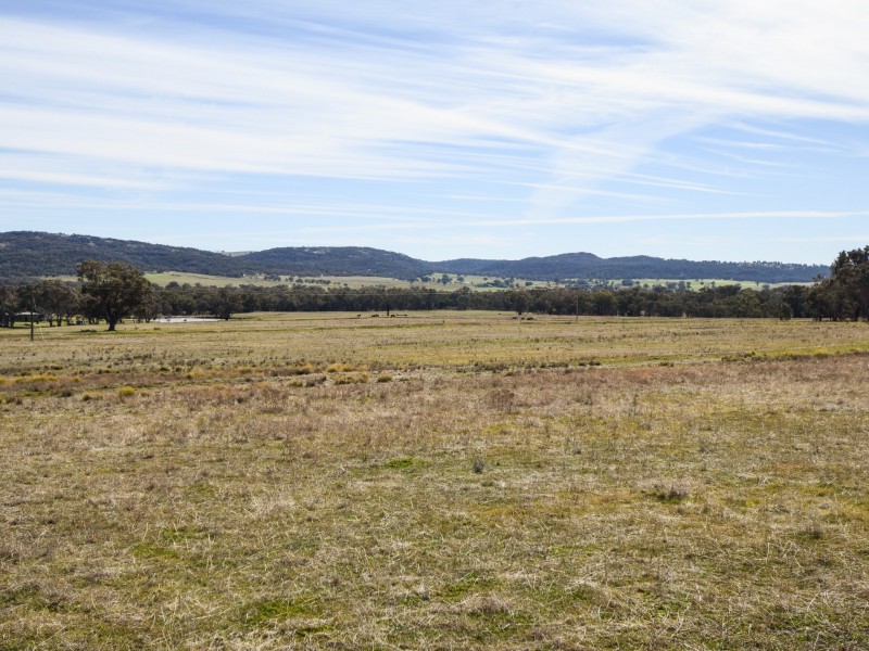 462 Gooloogong Road  “Sold at Auction”, Grenfell NSW 2810