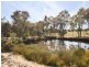 462 Gooloogong Road  “Sold at Auction”, Grenfell NSW 2810