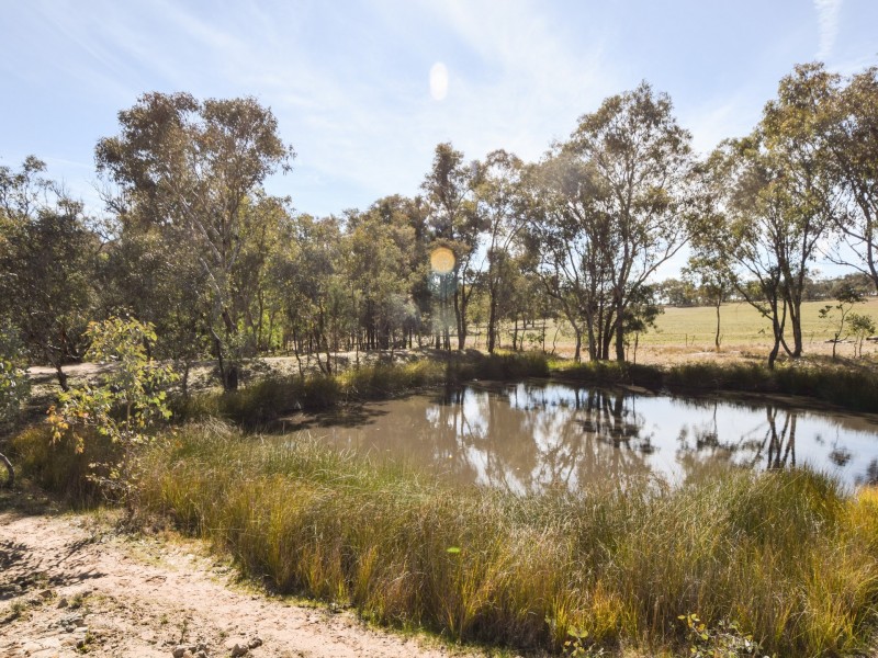 462 Gooloogong Road  “Sold at Auction”, Grenfell NSW 2810