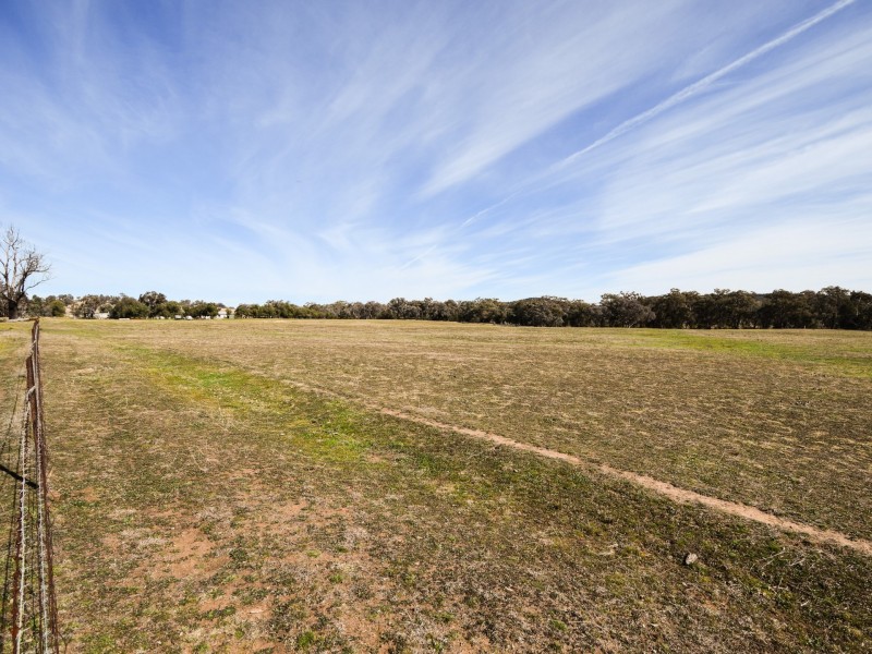 462 Gooloogong Road  “Sold at Auction”, Grenfell NSW 2810