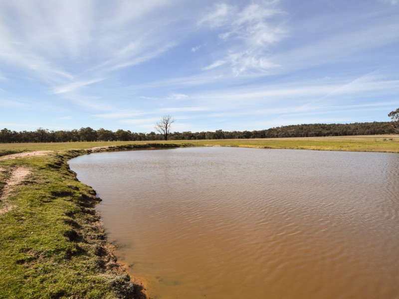462 Gooloogong Road  “Sold at Auction”, Grenfell NSW 2810