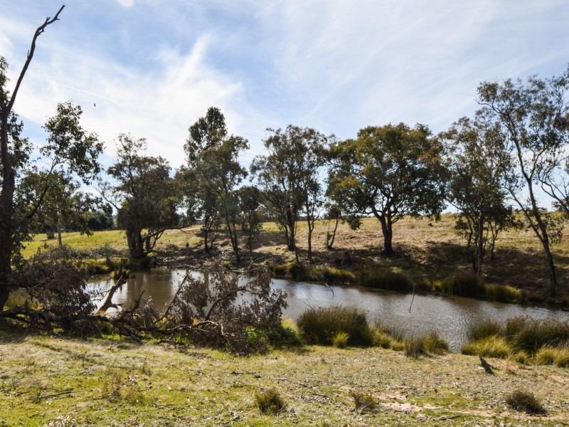 462 Gooloogong Road  “Sold at Auction”, Grenfell NSW 2810