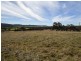 462 Gooloogong Road  “Sold at Auction”, Grenfell NSW 2810