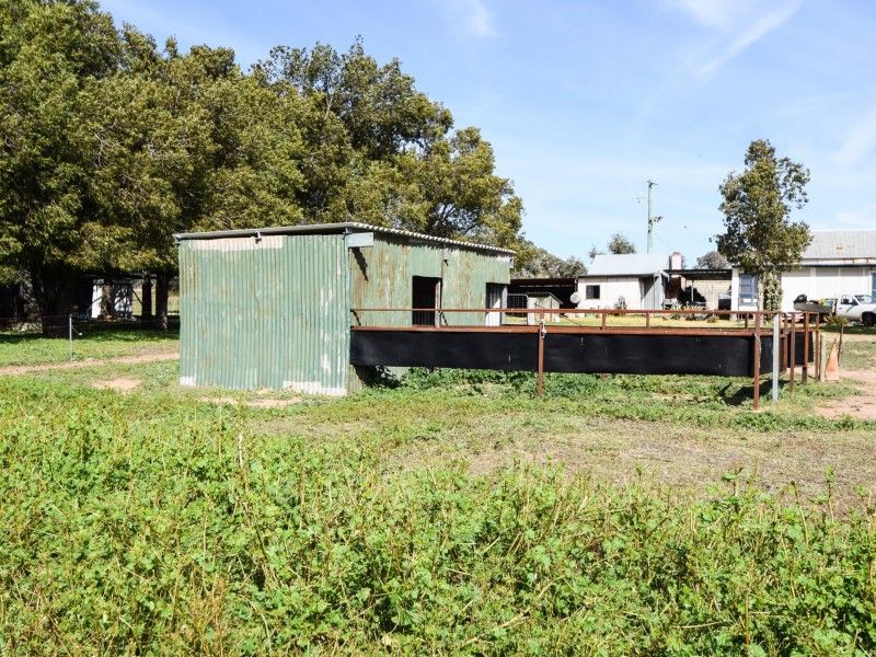 462 Gooloogong Road  “Sold at Auction”, Grenfell NSW 2810