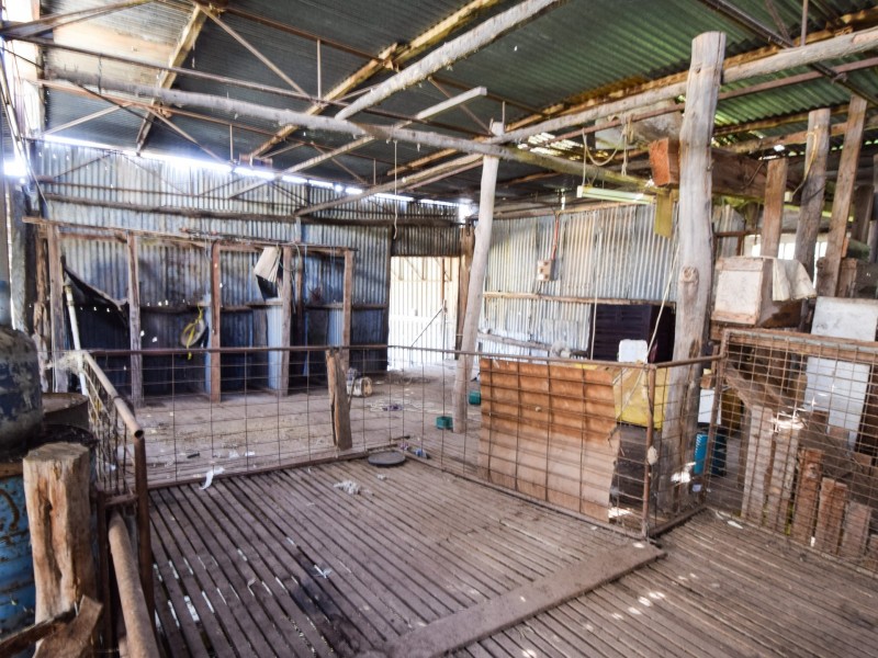 462 Gooloogong Road  “Sold at Auction”, Grenfell NSW 2810