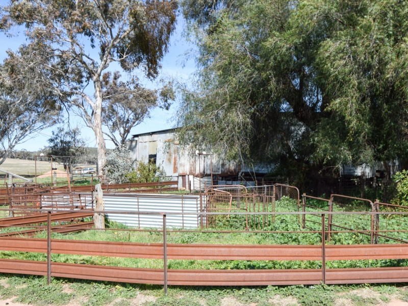 462 Gooloogong Road  “Sold at Auction”, Grenfell NSW 2810