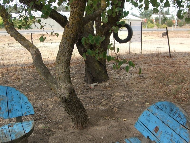 7 CHILLINGSWORKS ROAD, Young NSW 2594