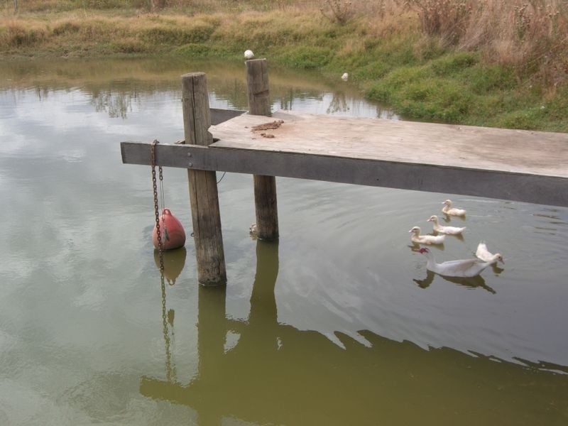 7 CHILLINGSWORKS ROAD, Young NSW 2594