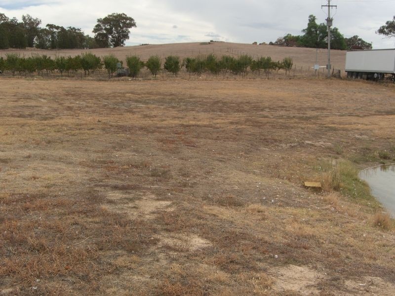 7 CHILLINGSWORKS ROAD, Young NSW 2594