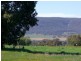 22 Hoads Road, Young NSW 2594