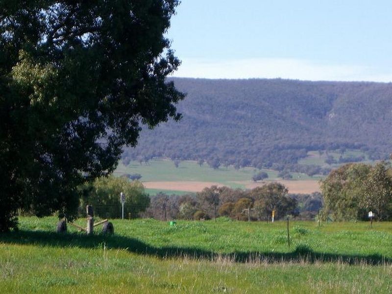 22 Hoads Road, Young NSW 2594