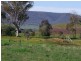 22 Hoads Road, Young NSW 2594