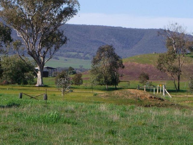 22 Hoads Road, Young NSW 2594