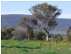 22 Hoads Road, Young NSW 2594