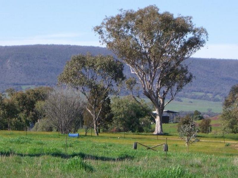 22 Hoads Road, Young NSW 2594