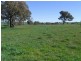 22 Hoads Road, Young NSW 2594