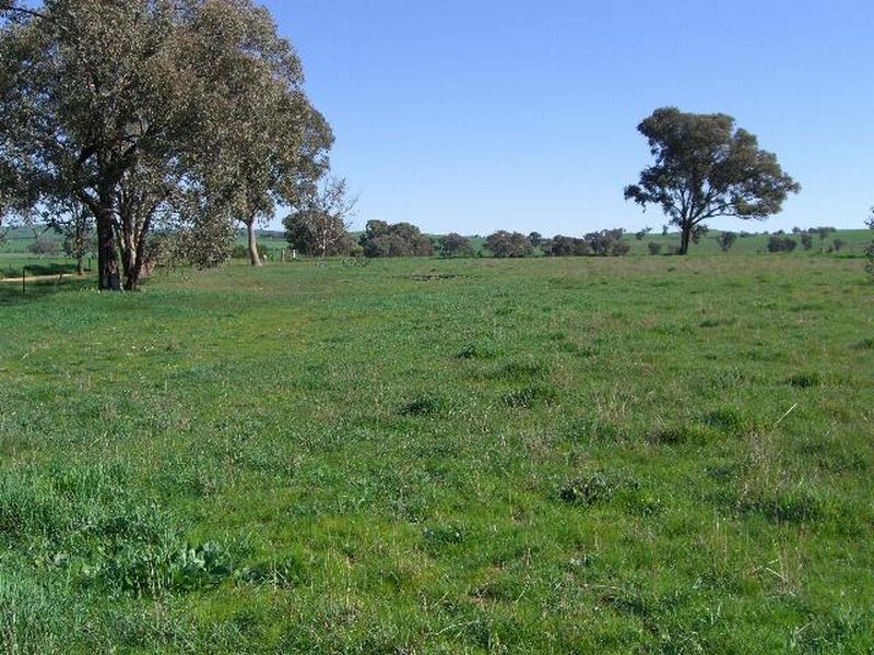 22 Hoads Road, Young NSW 2594