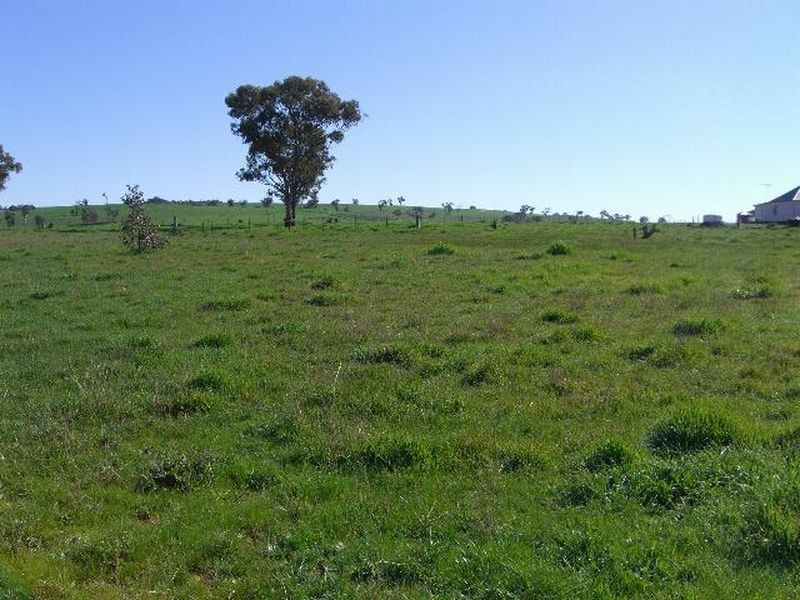 22 Hoads Road, Young NSW 2594