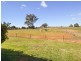 4017 Murringo Road, Young NSW 2594
