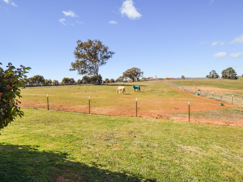4017 Murringo Road, Young NSW 2594