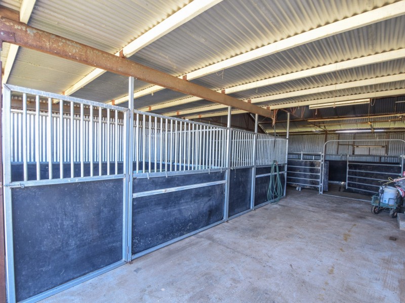 4017 Murringo Road, Young NSW 2594