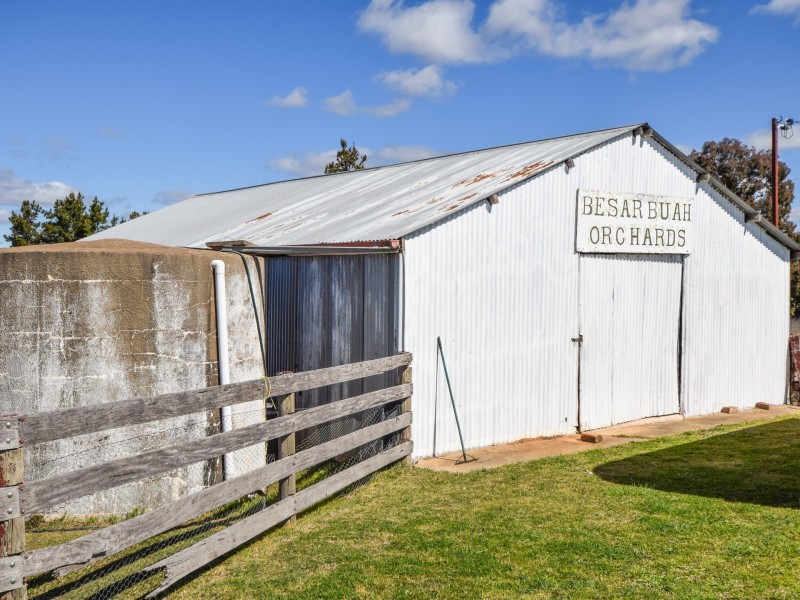 4017 Murringo Road, Young NSW 2594