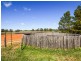 4017 Murringo Road, Young NSW 2594