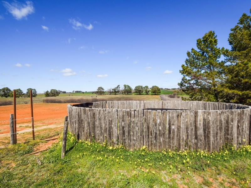 4017 Murringo Road, Young NSW 2594