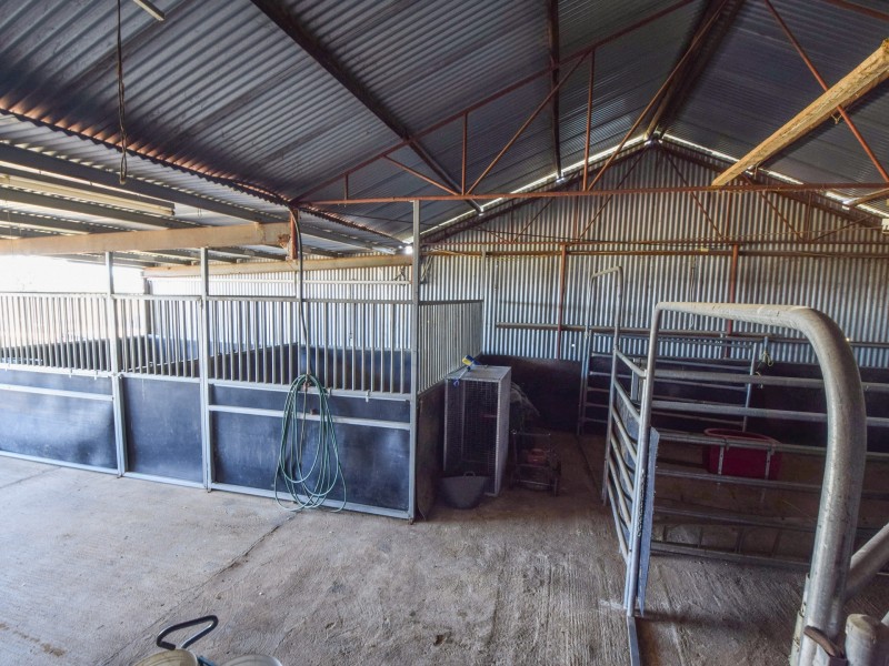 4017 Murringo Road, Young NSW 2594