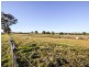 4017 Murringo Road, Young NSW 2594