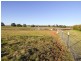 4017 Murringo Road, Young NSW 2594
