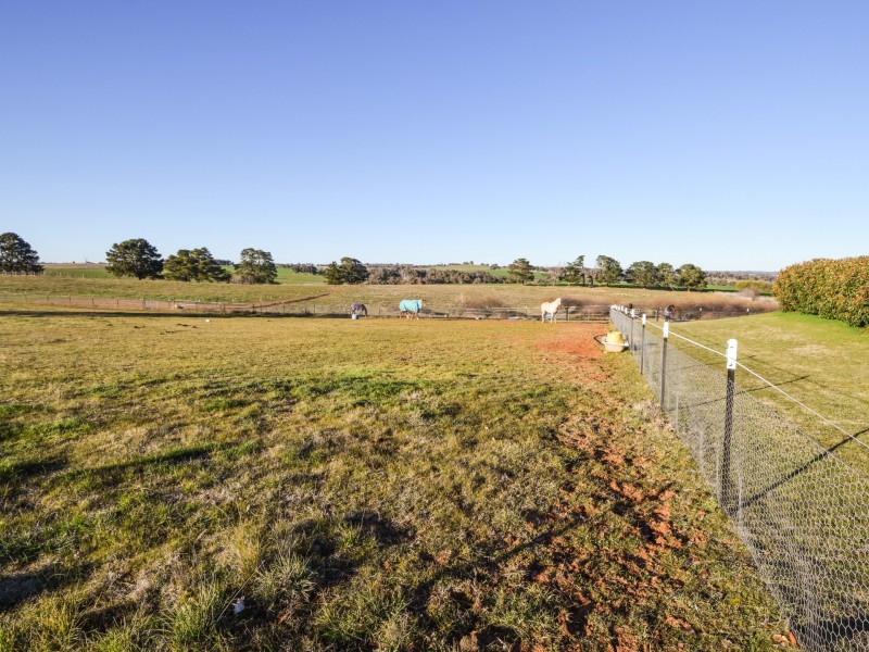 4017 Murringo Road, Young NSW 2594