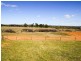 4017 Murringo Road, Young NSW 2594