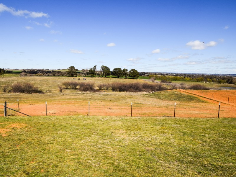 4017 Murringo Road, Young NSW 2594