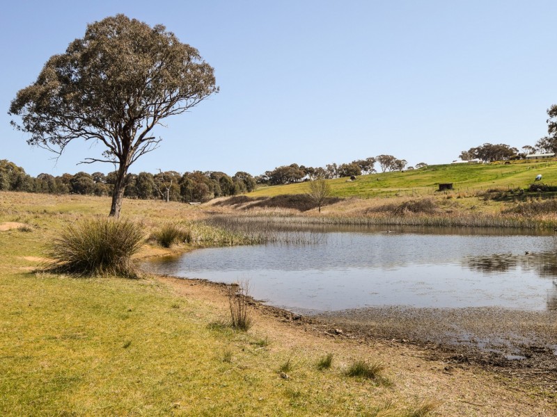 23 Warks Road, Young NSW 2594